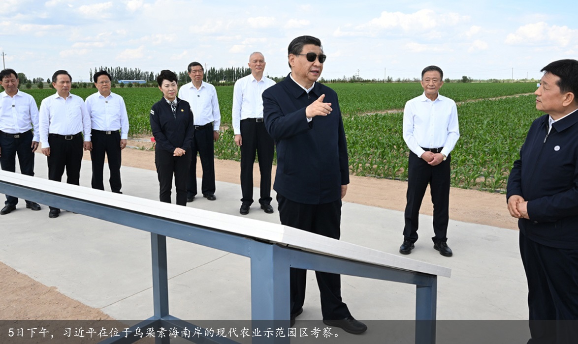 沿着总书记的足迹·新闻多一点 | 鸿雁的故乡——乌梁素海